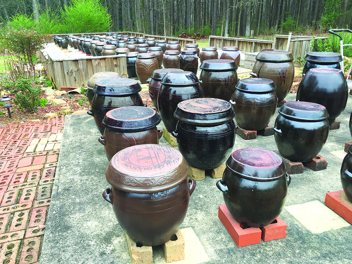 At the Jun Dung Sa Buddhist temple, clay crocks called onggi sit fermenting on the soy jar terrace. Photo by Angela Hansberger.