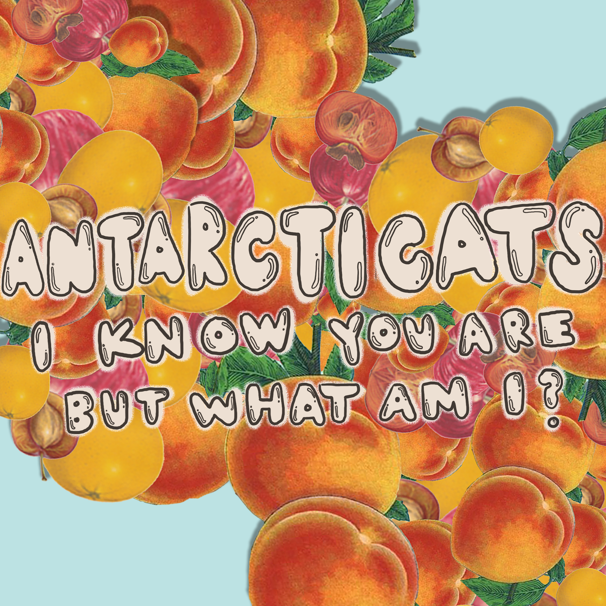 Music Antarcticats1 1 09