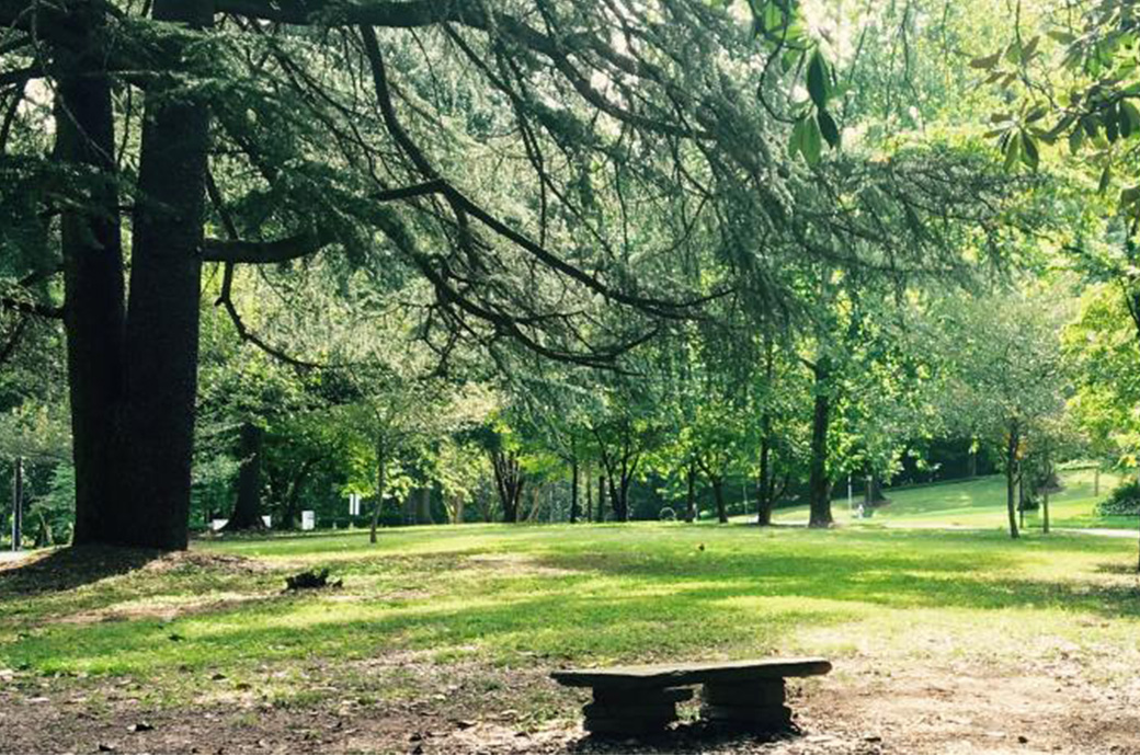 Courtesy Peachtree Battle Alliance Neighborhood