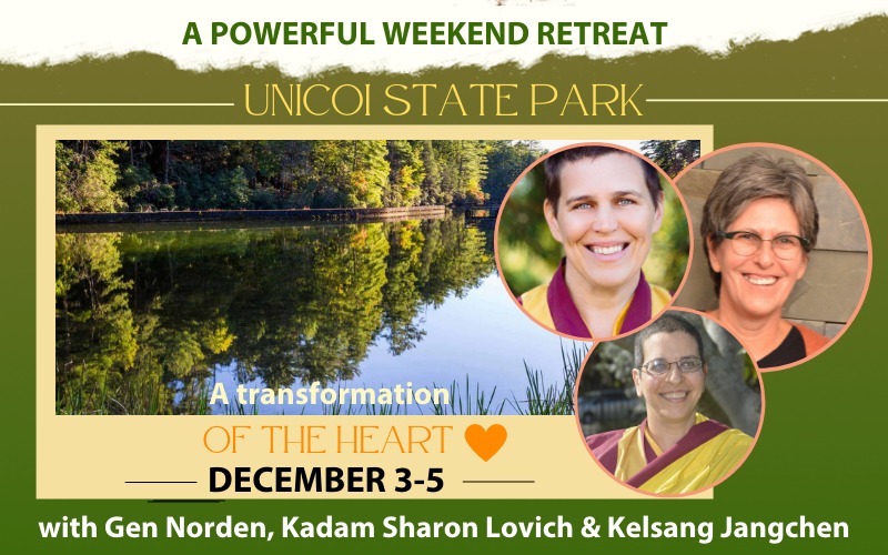 UNICOI! (800 X 500 Px)