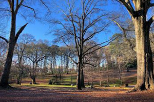 Southside Footer Emma Milican Park