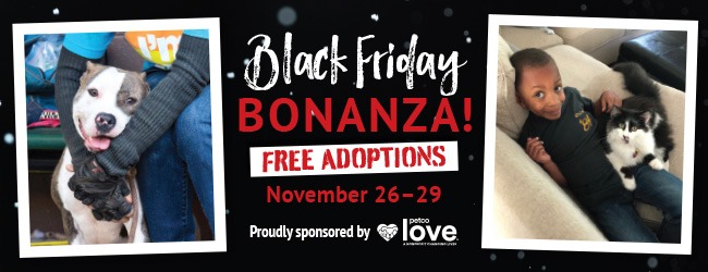 4113N Ll Black Friday21 SMP F 650x250