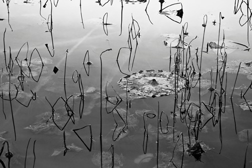 Pond 1A (new) Bw 5x7