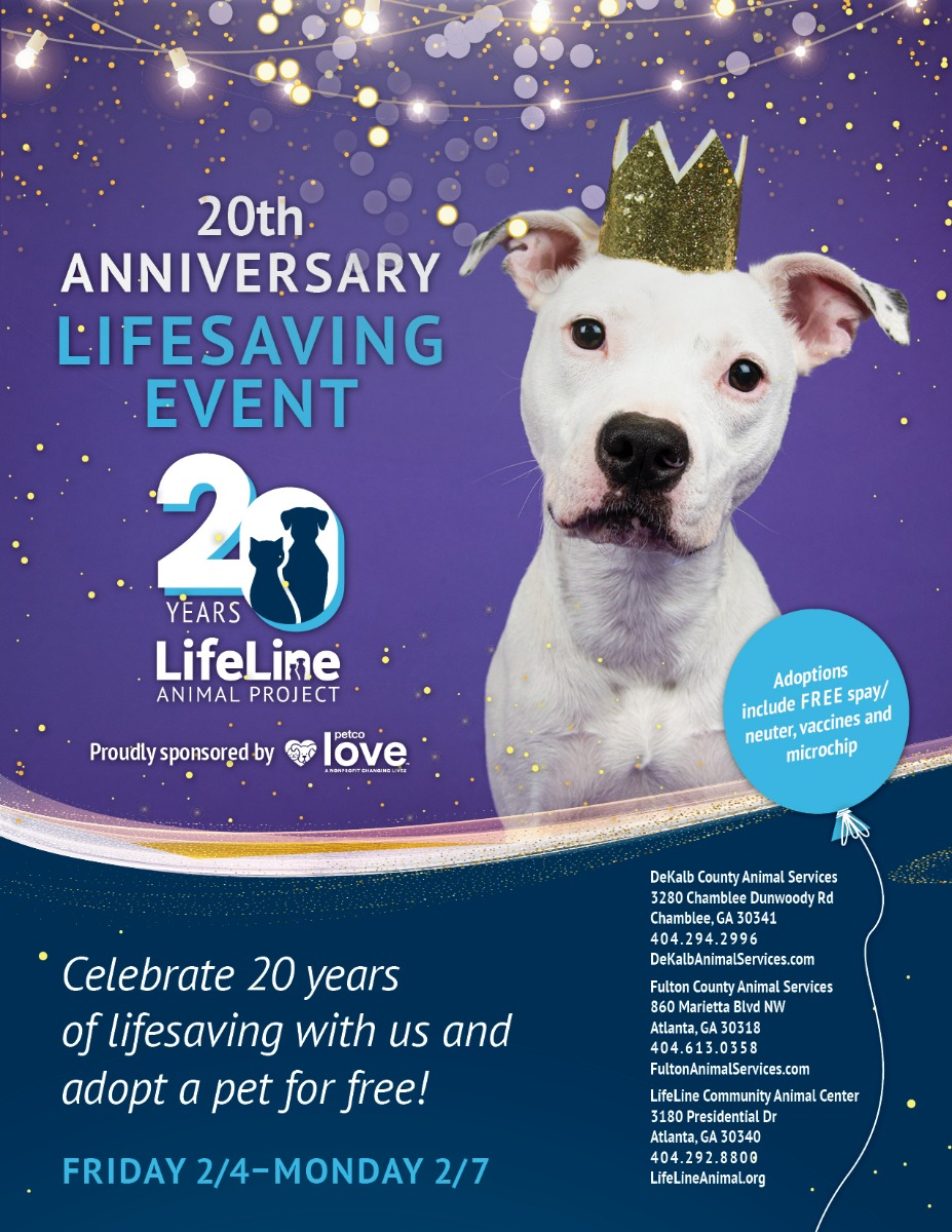 4113N Ll 20th Anniv Adoption Flier F (1) (1)
