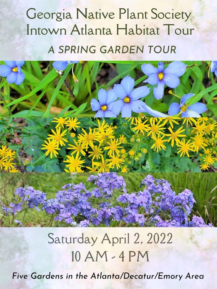 Intown Native Plant Habitat Tour (2)