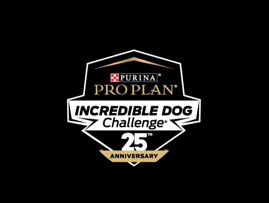 2022 Purina Pro Plan Incredible Dog Challenge Creative Loafing