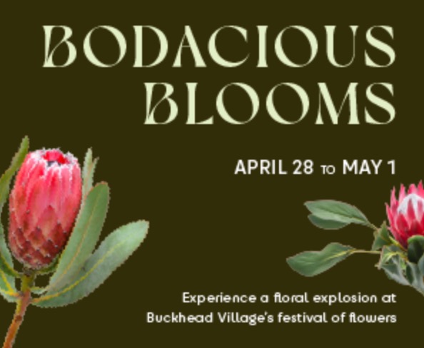 Screen Shot 2022 04 20 At 4.24.51 PM