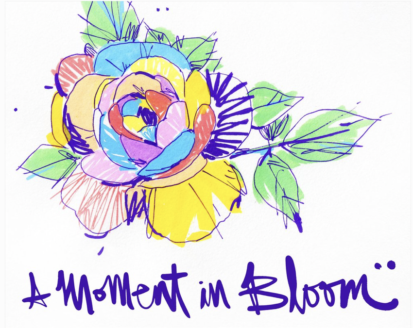 Screen Shot 2022 05 09 At 10.24.03 AM