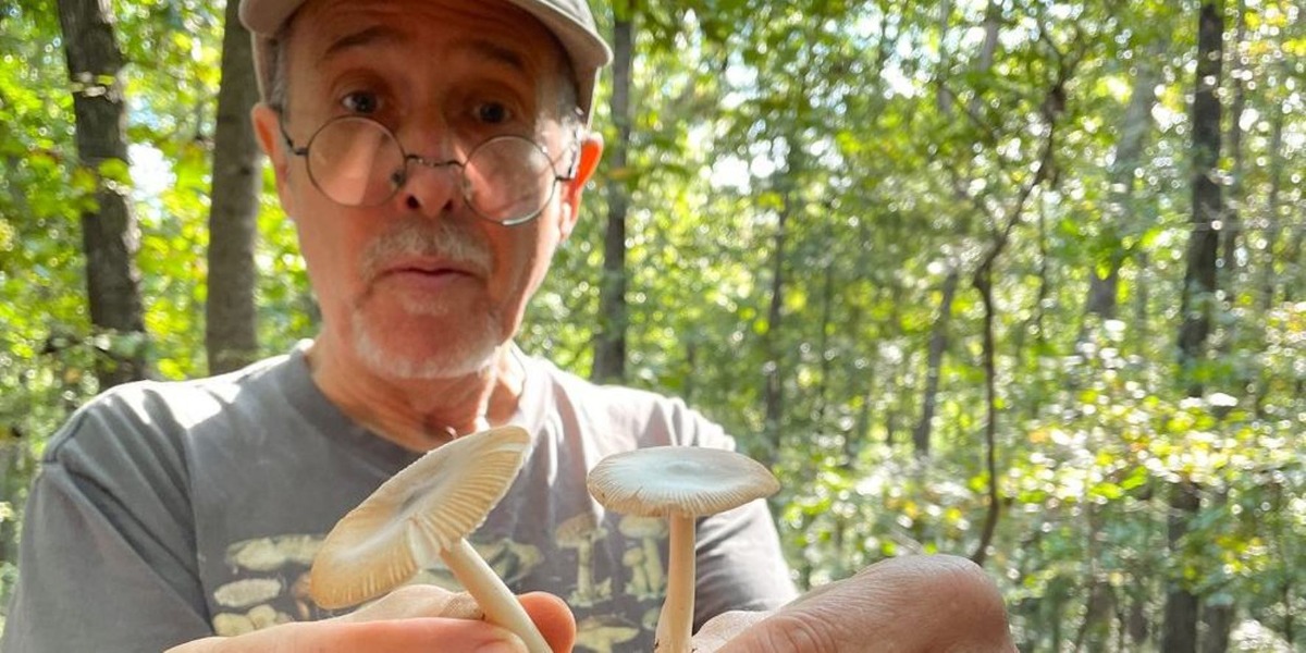 Mushroom