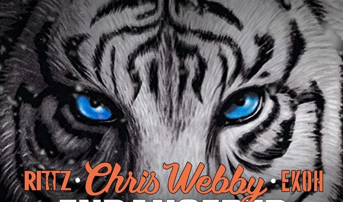 Uploadedimage 62bc878a3209a