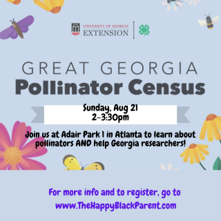 Sunday Pollinator Flyer
