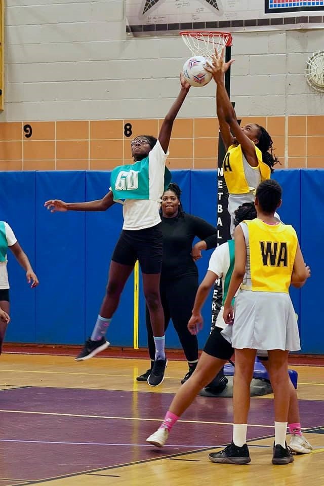 Netball Pic2 (1)