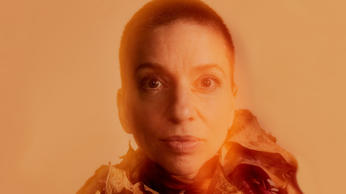 Ani DiFranco1