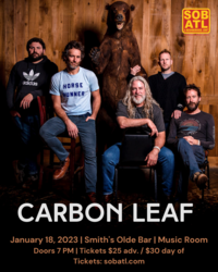 Carbon Leaf IG Portrait