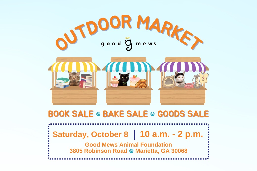 640x360 (1200 × 1200 Px) (1040 × 694 Px)