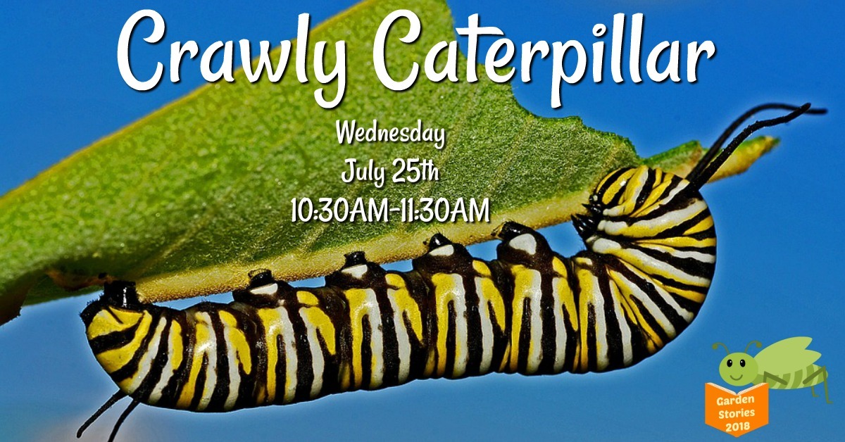 Garden Stories July 25 1