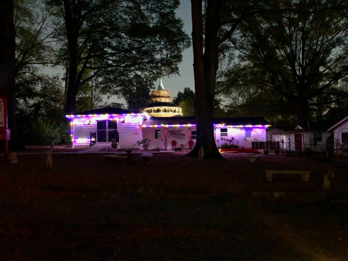 Starry Nights In The Garden 1