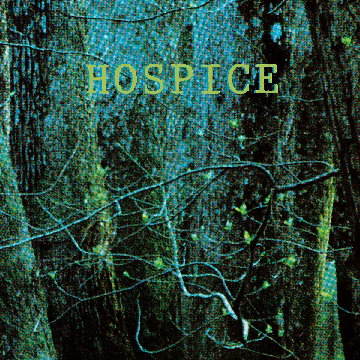 Hospice.