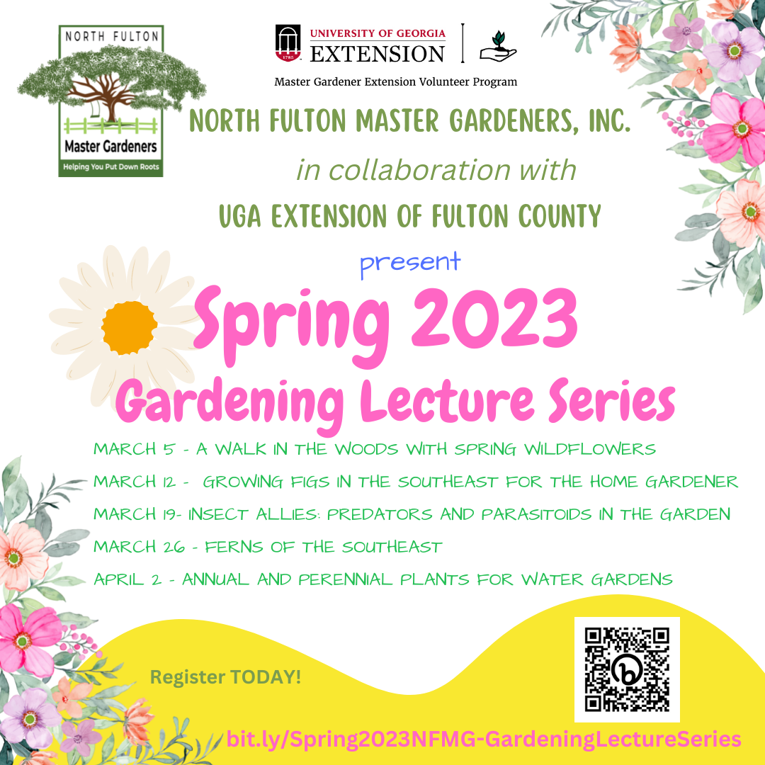 Spring 2023 Graphic