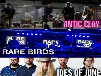 Rare+birds+400x300