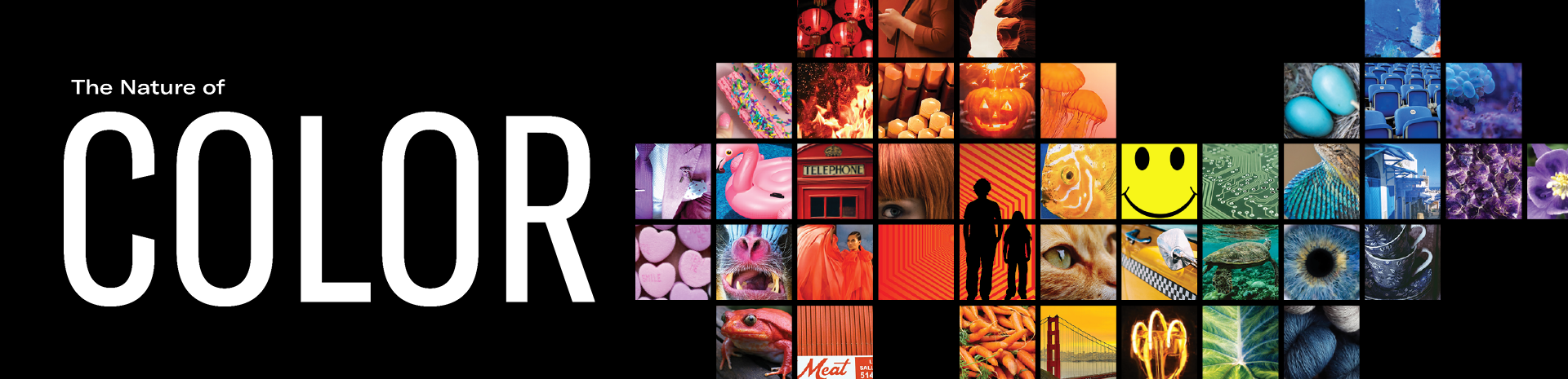 Fernbank Natureofcolor Subpagemarquee