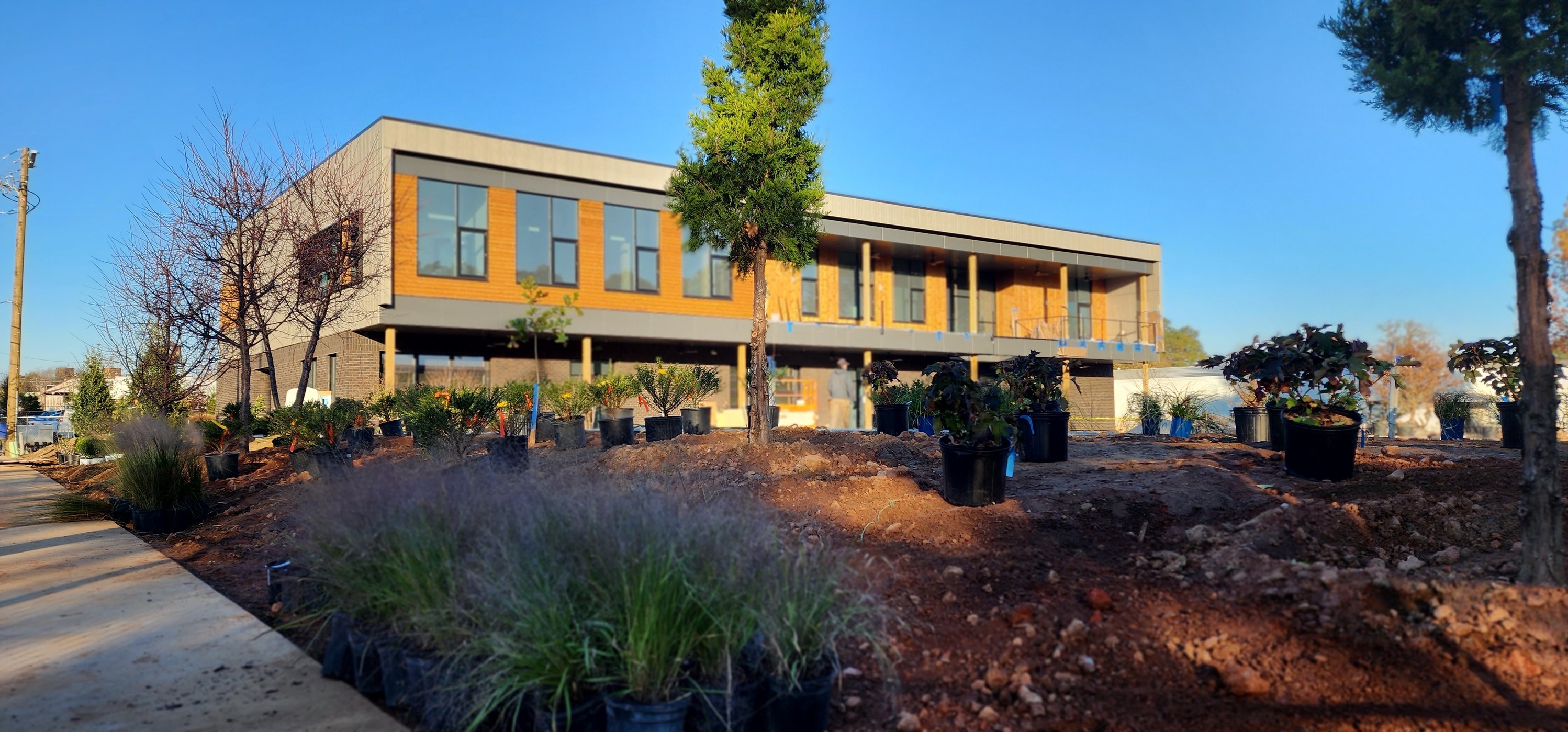 Trees Atlanta Kendeda Tree House