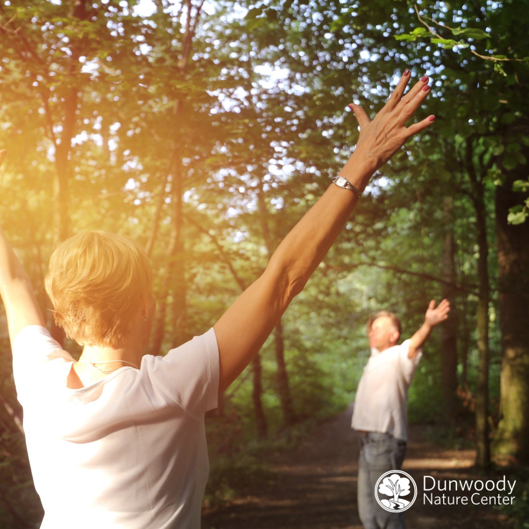 Forest Bathing Square (2)