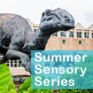 Summer Sensory Events Thumbnail