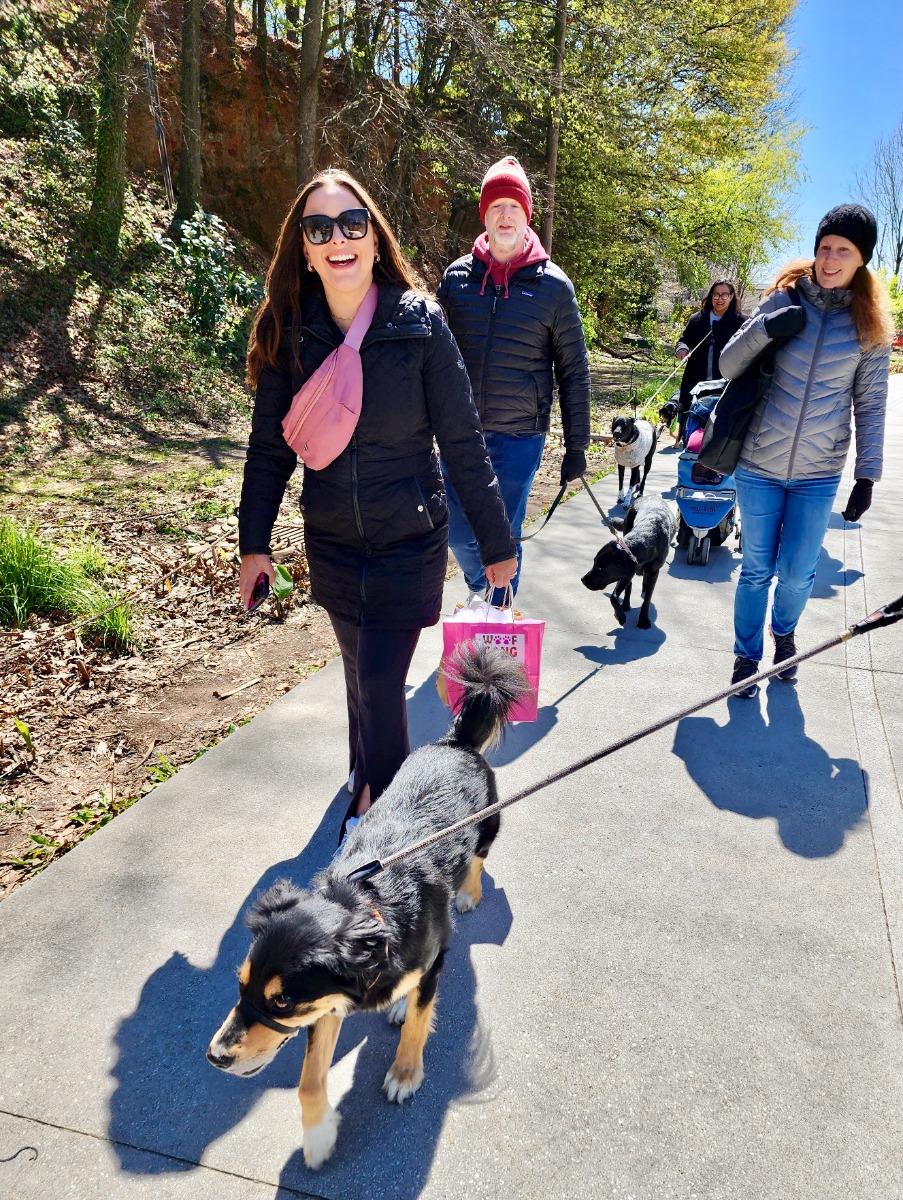 4 BiteLines Doggie Food Crawl