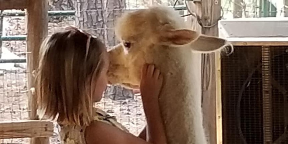 Creekwater Alpaca Farm Barn Tour