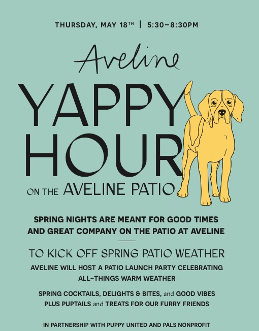 Screen Shot 2023 05 02 At 4.12.50 PM