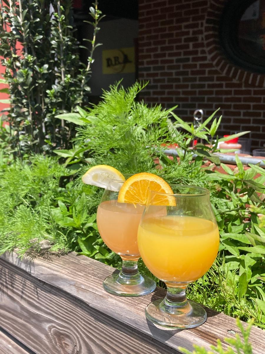 Photo Apr 16 2023, 1 07 28 PM