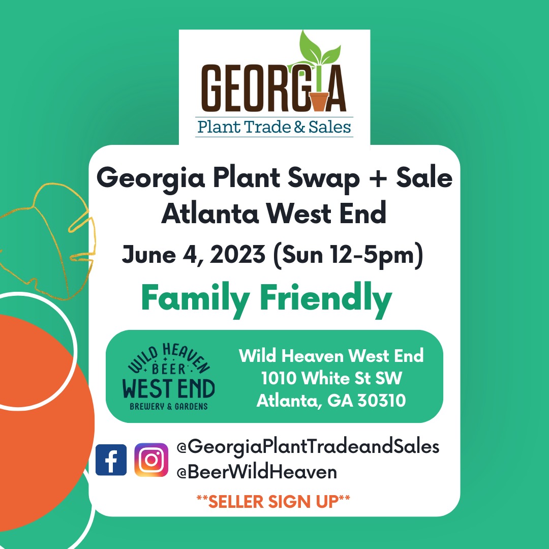 WildHeavenWestEnd06042023