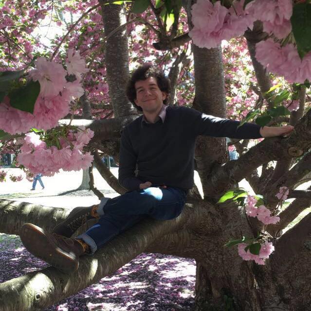 Tree Jake