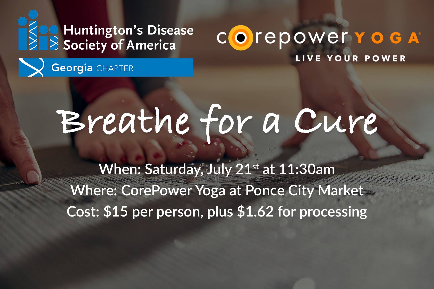 34136640 2080314685589390 2957861131131027456 O