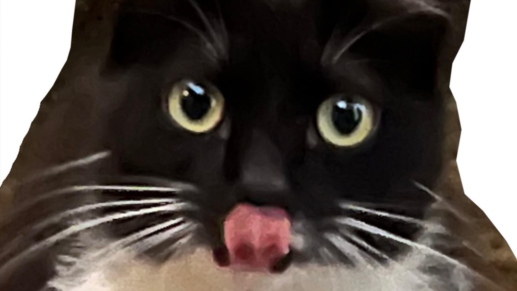 092823 Tobilou ForSite