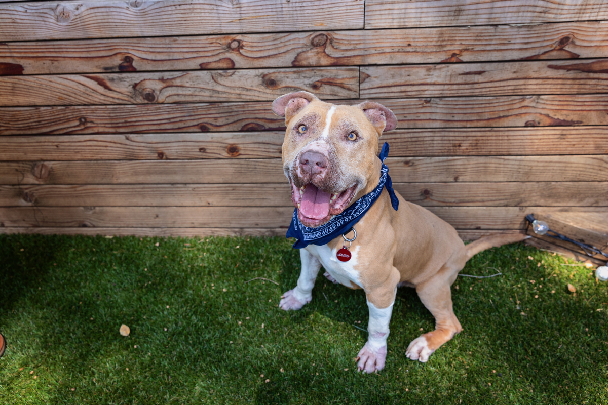 Floyd K A KingLF 794A3181