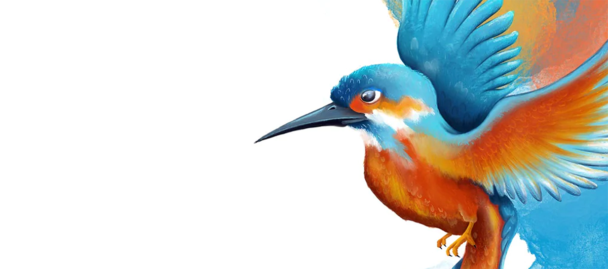 Halcyon Graphic 5 1800x