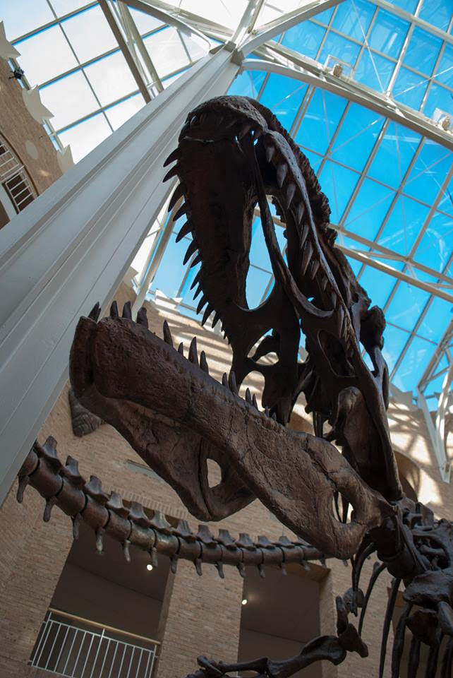 COLOSSAL CREATURES: Fernbank Museum celebrates science every day. PHOTO CREDIT: Courtesy Fernbank Museum of Natural History.