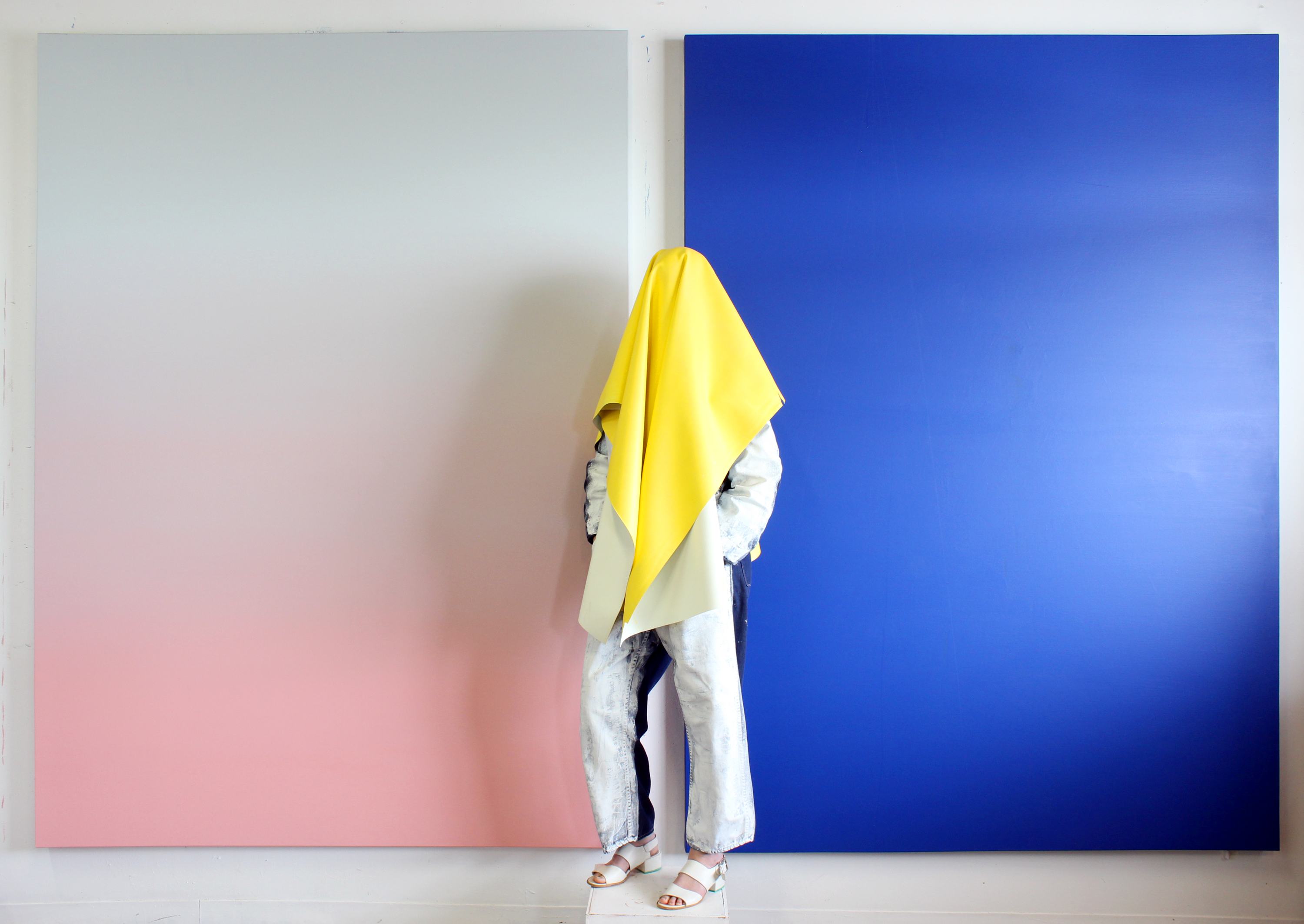 SEEING COLORS: Mitchell aims to create experimental environments that challenge common perceptions. PHOTO CREDIT: Kirstin Mitchell.