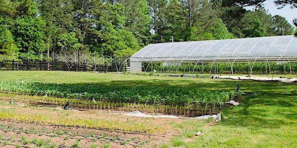 Serenbe Farms Tour | Creative Loafing