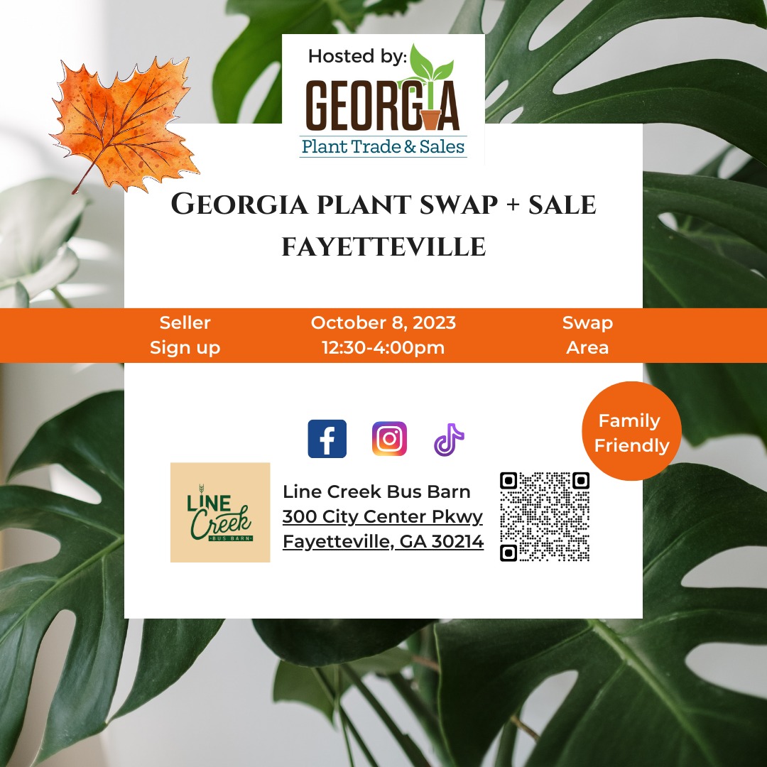 Green Photo Plant Instagram Post