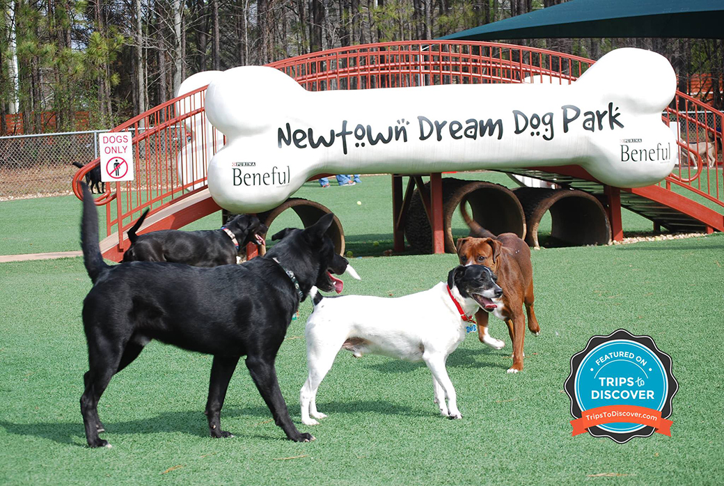 Newtown Dream Dog Park