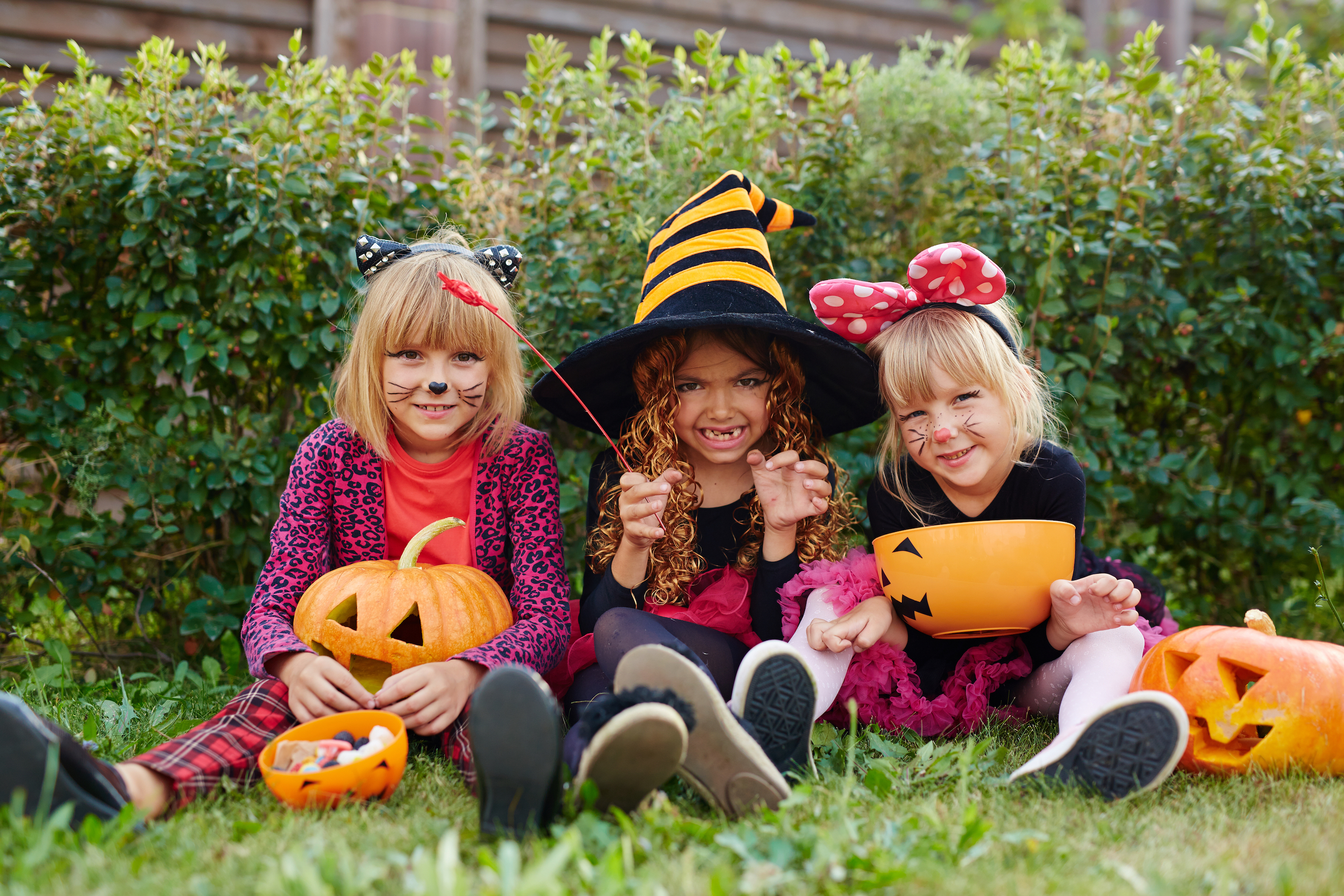 Friendly Kids With Symbols Of Halloween Sitting On Grass SBI 321748146