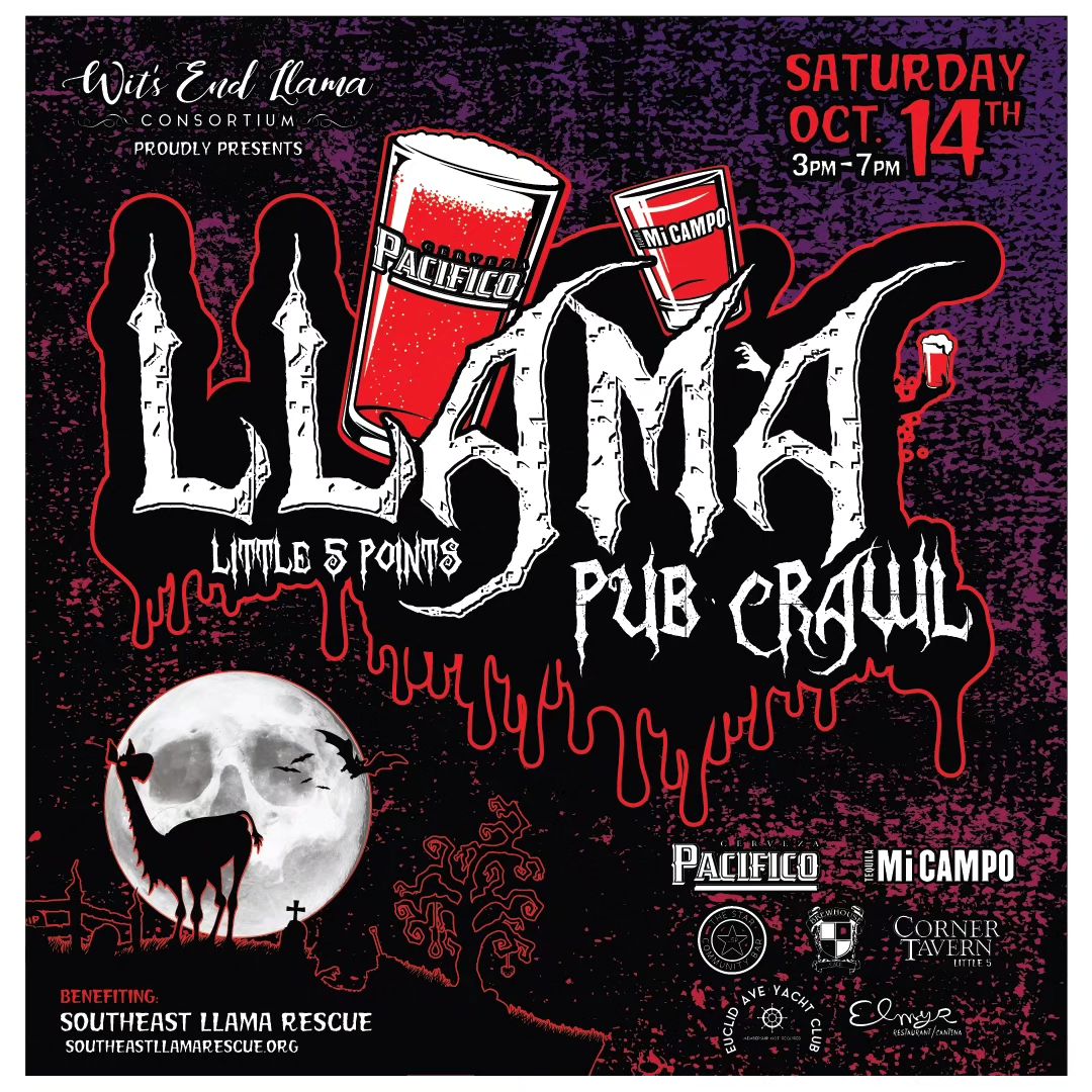 387266415 1535076670563672 2209862710954931697 N