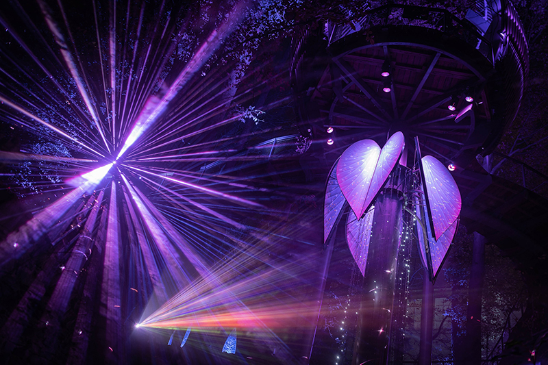 NIGHTTIME FROLIC: GLOWING IN THE DARK PHOTO CREDIT: THINKWELL