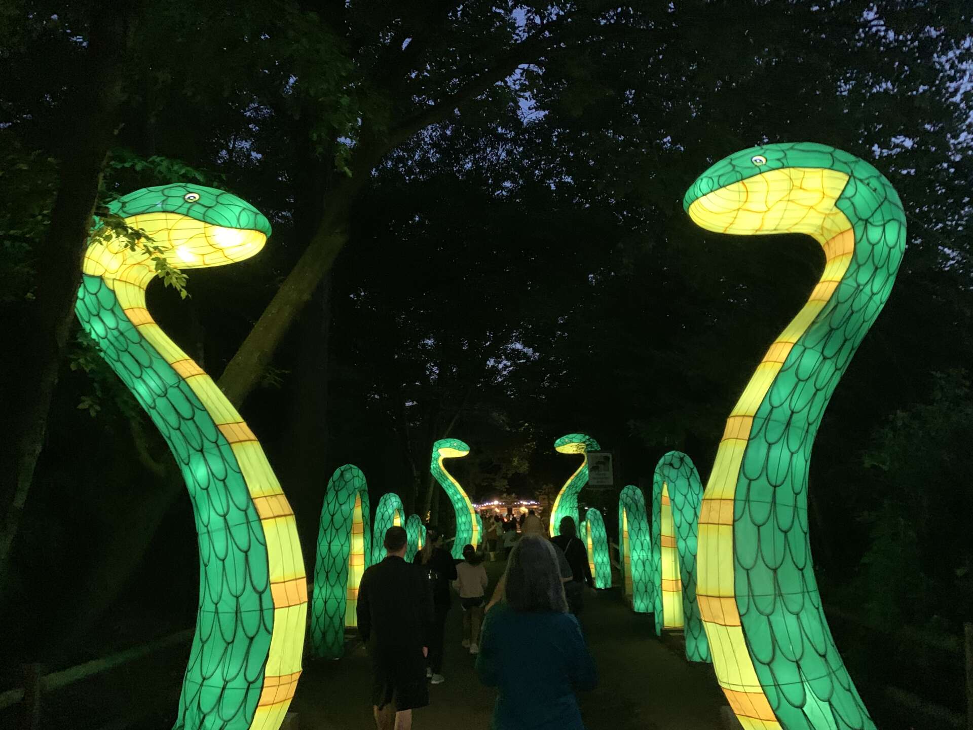 Illuminights A Chinese Lantern Festival Creative Loafing