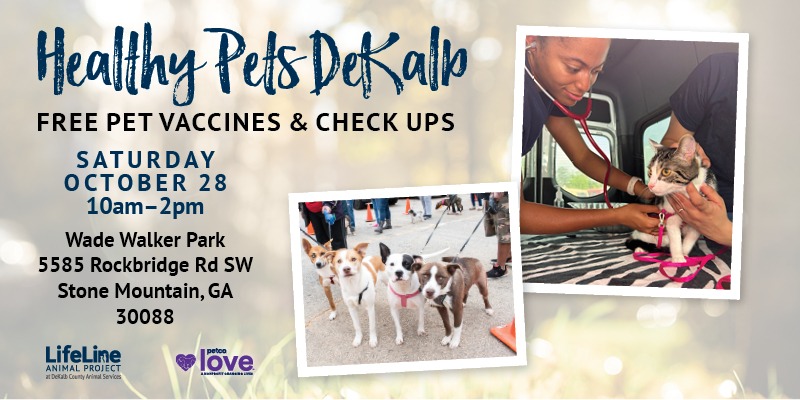 4113ll Healthy Pets23 DCAS 800x400 N F
