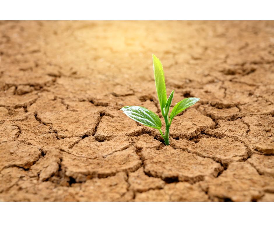 DgDe3ugDMGsWtPPWNsuVZoHB