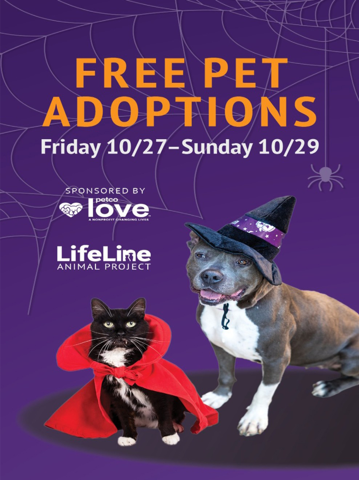 Free pet adoptions cheap this weekend